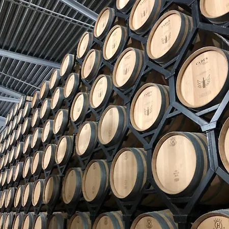 Apartamento Ribera Del Duero Las Escuelas